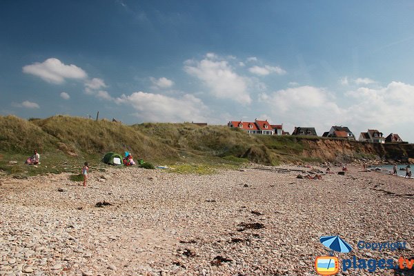 Grass areas along the beach in cran de Noirda - Audresselles 