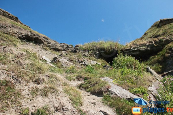 Access to cran aux oeufs beach  - Audinghen