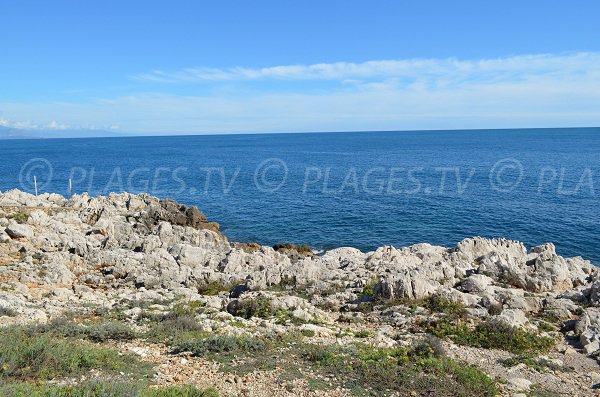 Cricca selvaggia sul Boulevard du Bacone sul Cap d'Antibes