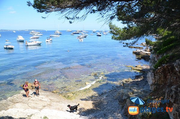 Photo of Batterie cove of Sainte Marguerite island - Cannes