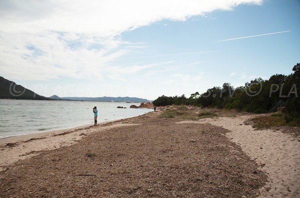 Crique secrète sur la presqu'ile de Benedettu dans le golfe de Porto Vecchio