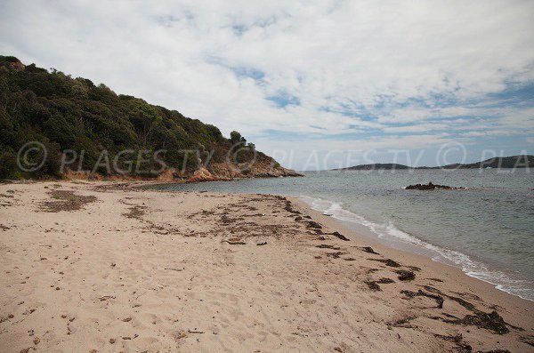 Plage de sable sur la presqu'ile de Benedettu