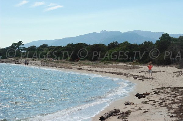 Cricca di Benedettu - Golfo di Porto Vecchio