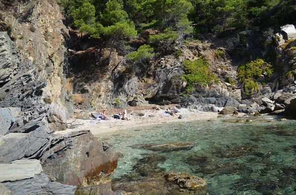 Photo de la crique de Brégançon à Bormes les Mimosas