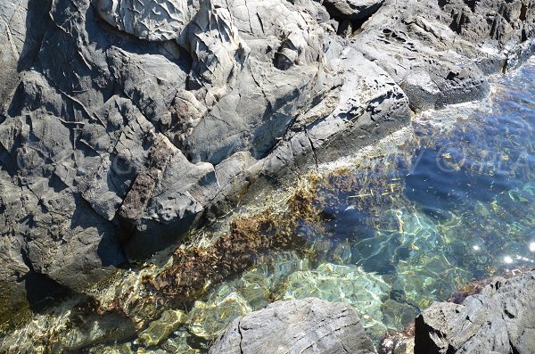 Difficulté pour accéder à la crique de Brégançon