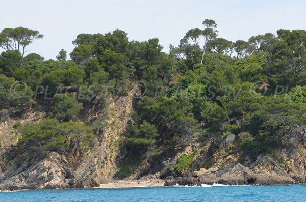 Crique de Brégançon à Bormes les Mimosas