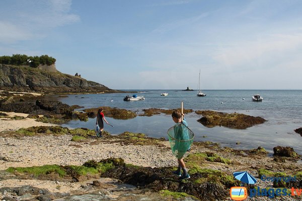 Fishing in Belle Ile en Mer - Bugul