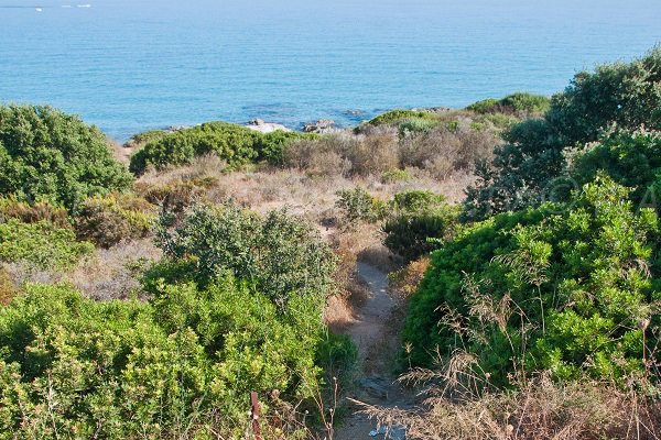  L'accesso a Cala d'Olivu