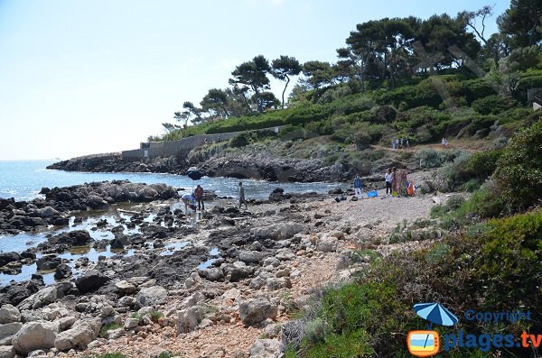 Rochers au niveau du Cap Gros du Cap d'Antibes