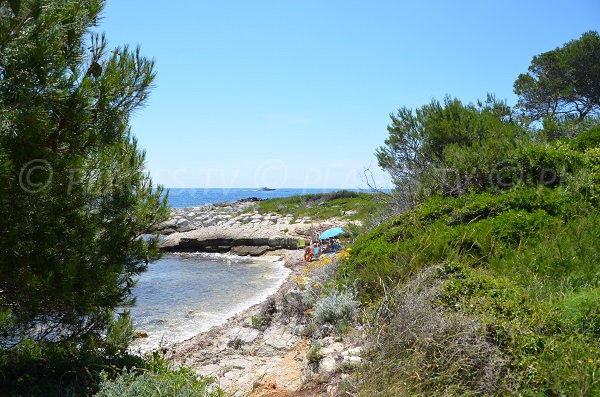 Crique de Carbonel sur l'ile de Ste Marguerite