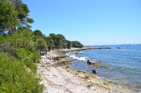 Plage de la pointe du Carbonel sur les Iles de Lérins