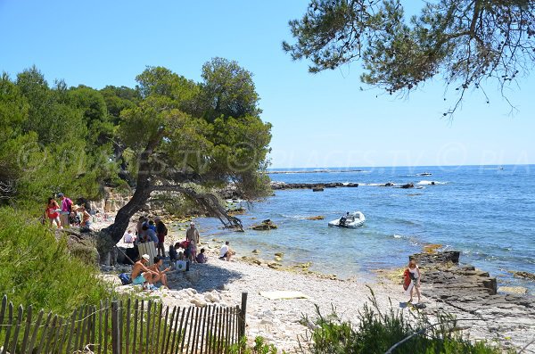 Beach near the Point of Carbonel - Ste Marguerite