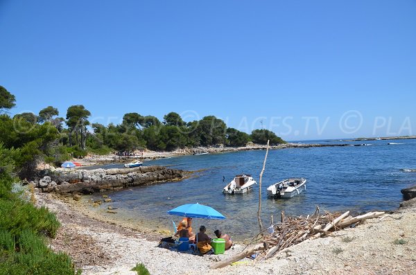 Carbonel Cove - Iles de Lérins - France