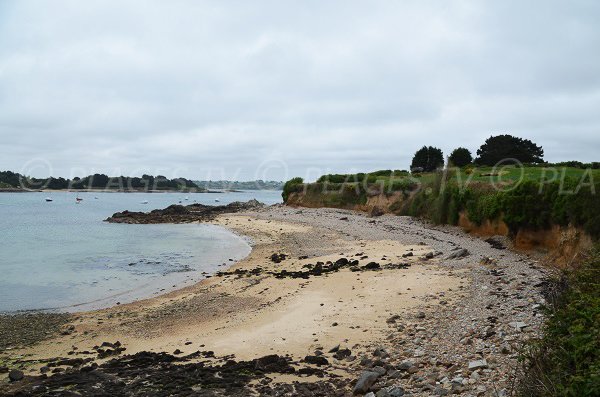 Plage du Castel à Plougrescant avec l'ile Loaven