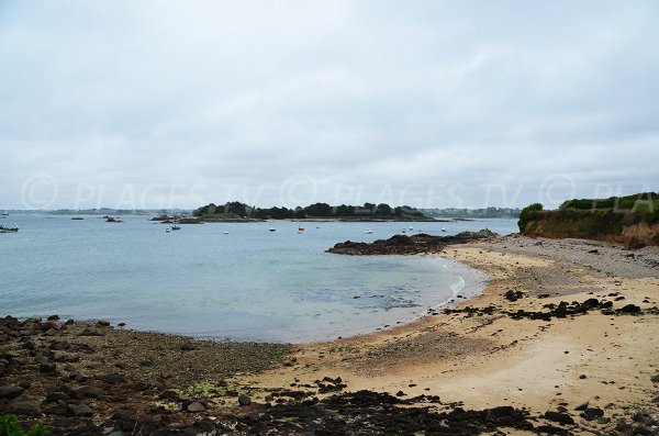 Ile Loaven vue depuis le Castel