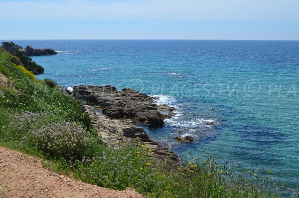 Ambiente Spiaggia Castellu di Sagone