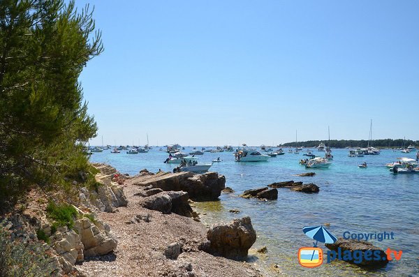 Rochers autour des criques des Cattats - Ile Ste Marguerite