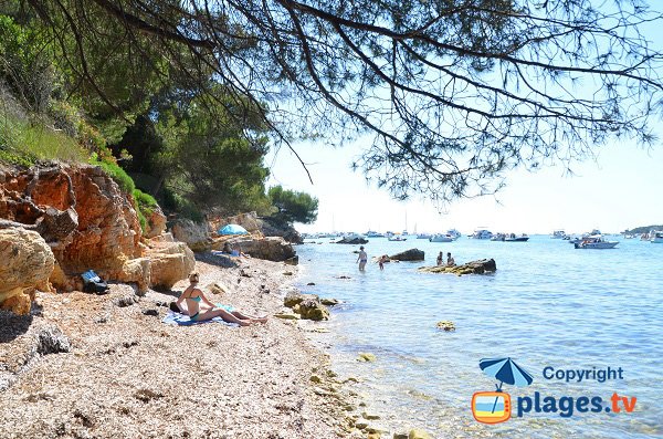 Plage au sud de l'ile de Lérins - Les Cattats