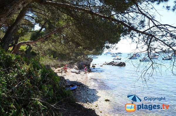 Ile de Ste Marguerite - Plage des Cattats