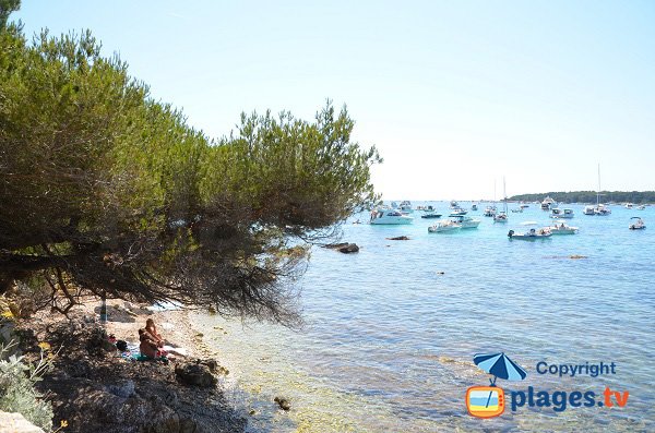 Photo de la crique des Cattats sur les iles de Lérins - Ste Marguerite