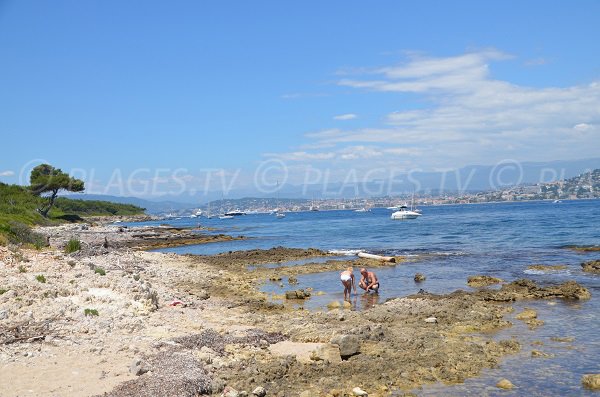 Plage sur l'Ile de Ste Marguerite face à Juan les Pins