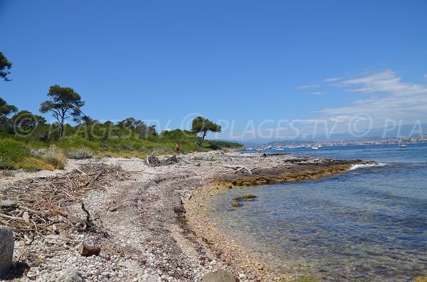 Photo de la plage de la pointe de la Convention sur l'île de Sainte Marguerite