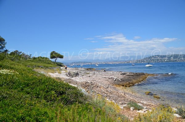 Plage de la Convention sur les Iles de Lérins avec vue sur Cannes