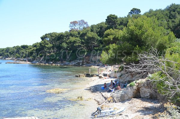 Crique ombragée à proximité du cimetière des Iles de Lérins