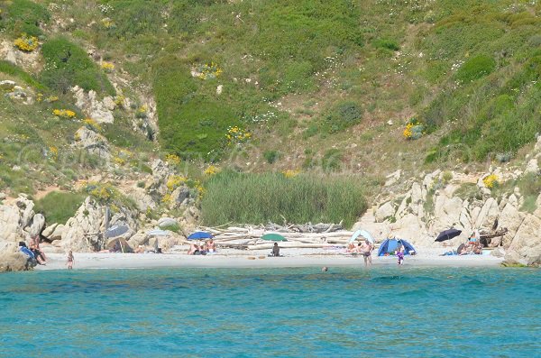 Wilde Bucht in Ramatuelle