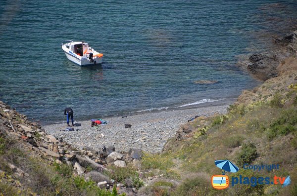 Cala El Canu a Cerbère in Francia