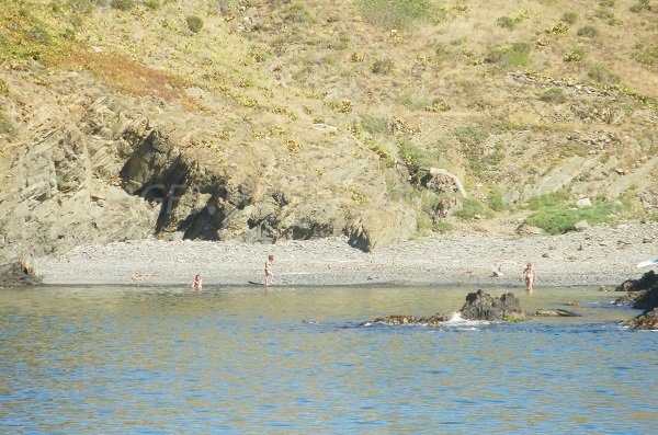 El Canu cove in Cerbère in summer