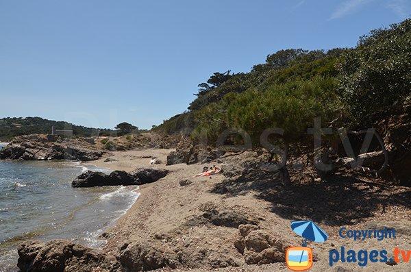 Cala ombreggiata a St Tropez