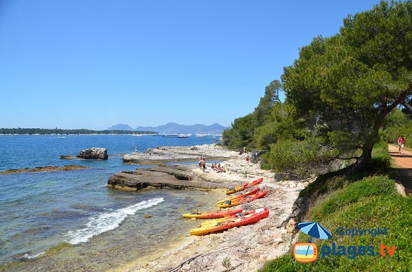 Plage au sud-est de l'ile de Ste Marguerite à proximité de la pointe de Carbonel