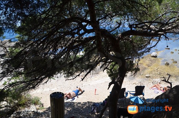 Beach after the Four cove - Lerins island