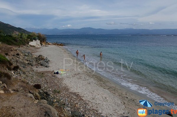 Cricca di Frati a Ajaccio