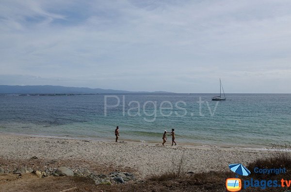 Crique de Frati à Ajaccio avec vue sur Pietrosella