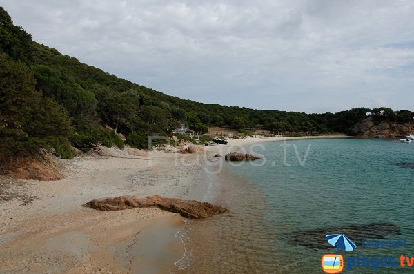 Cove in the Cala of Furnellu in Corsica