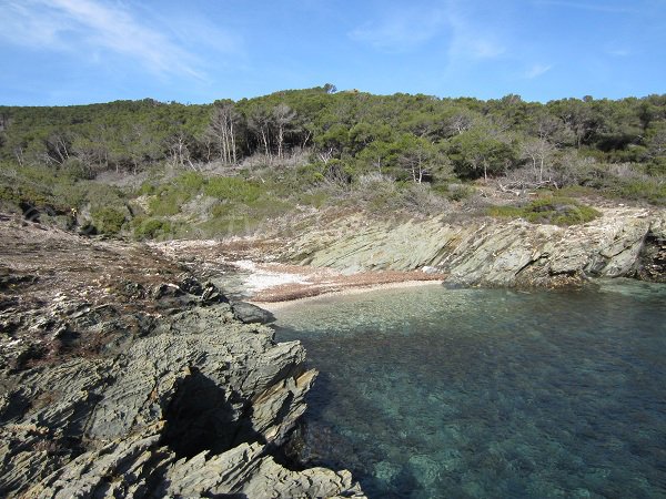 Crique sauvage sur l'île de Porquerolles