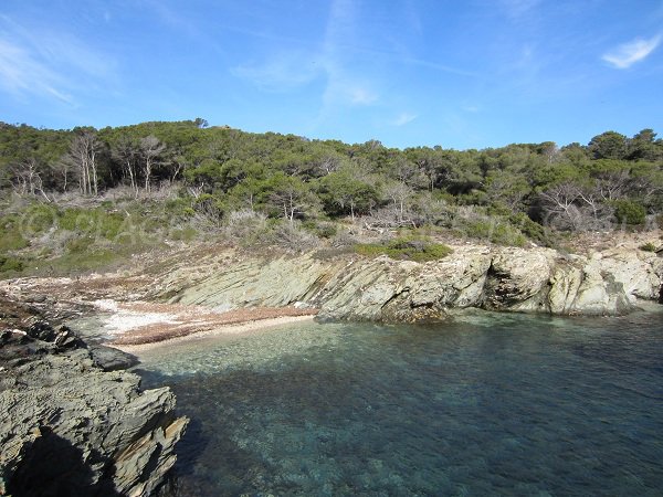 Plage de la Galère à Porquerolles