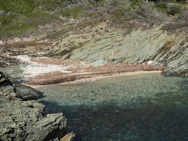 Plage à l'Est de l'ile de Porquerolles