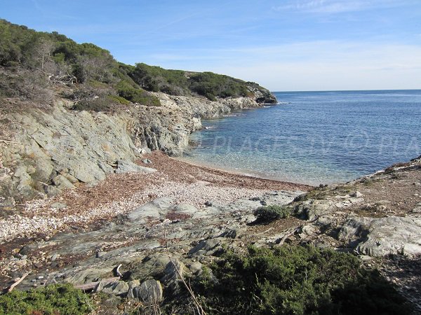 Galère cove in Porquerolles in France