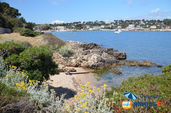 Crique de sable avec vue sur la plage de la Garoupe - Cap d'Antibes