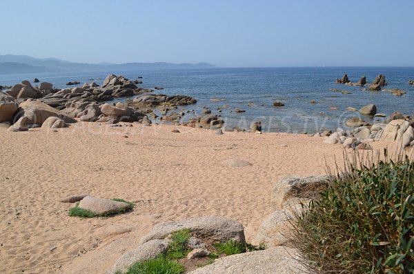 Crique de sable à la pointe d'Isolella en Corse