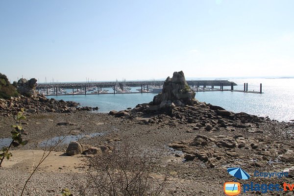 View on Marina of Roscoff from the exotic garden