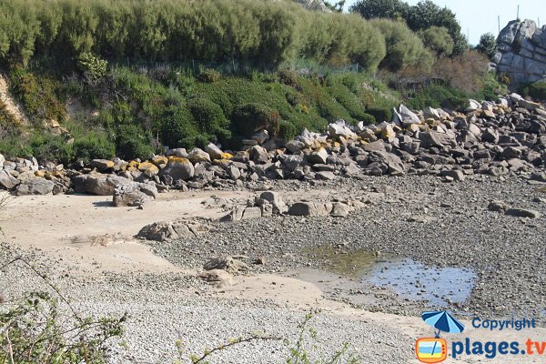 Crique secrète à Roscoff - Le Jardin Exotique