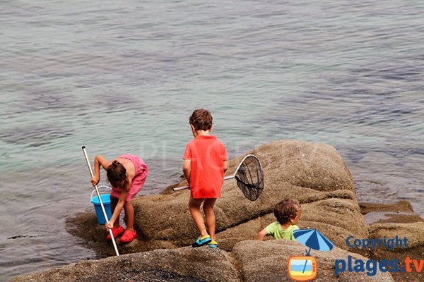 Pêche sur la plage de Kerlosquen à Fouesnant