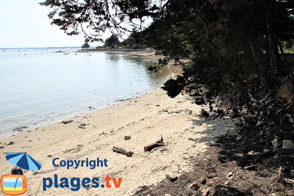 Shaded cove on the island of Arz