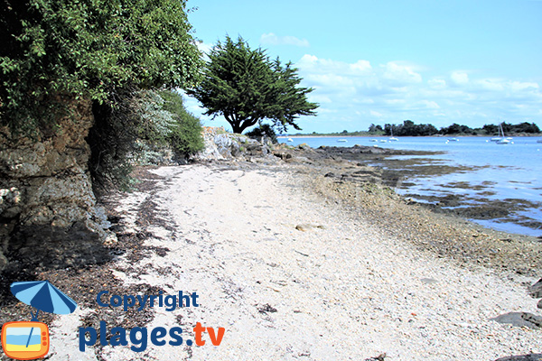 presqu'île de Bilhervé depuis une crique d'Arz