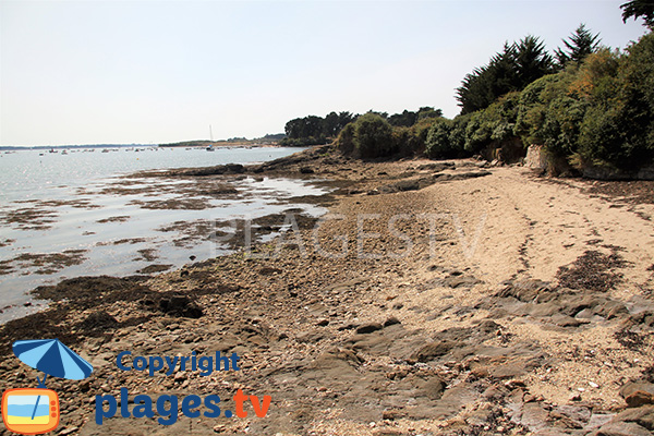 Cove on the island of Arz at low tide