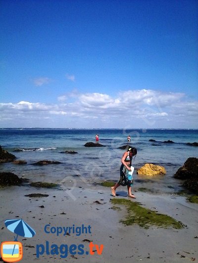 Shore fishing on the island of Groix